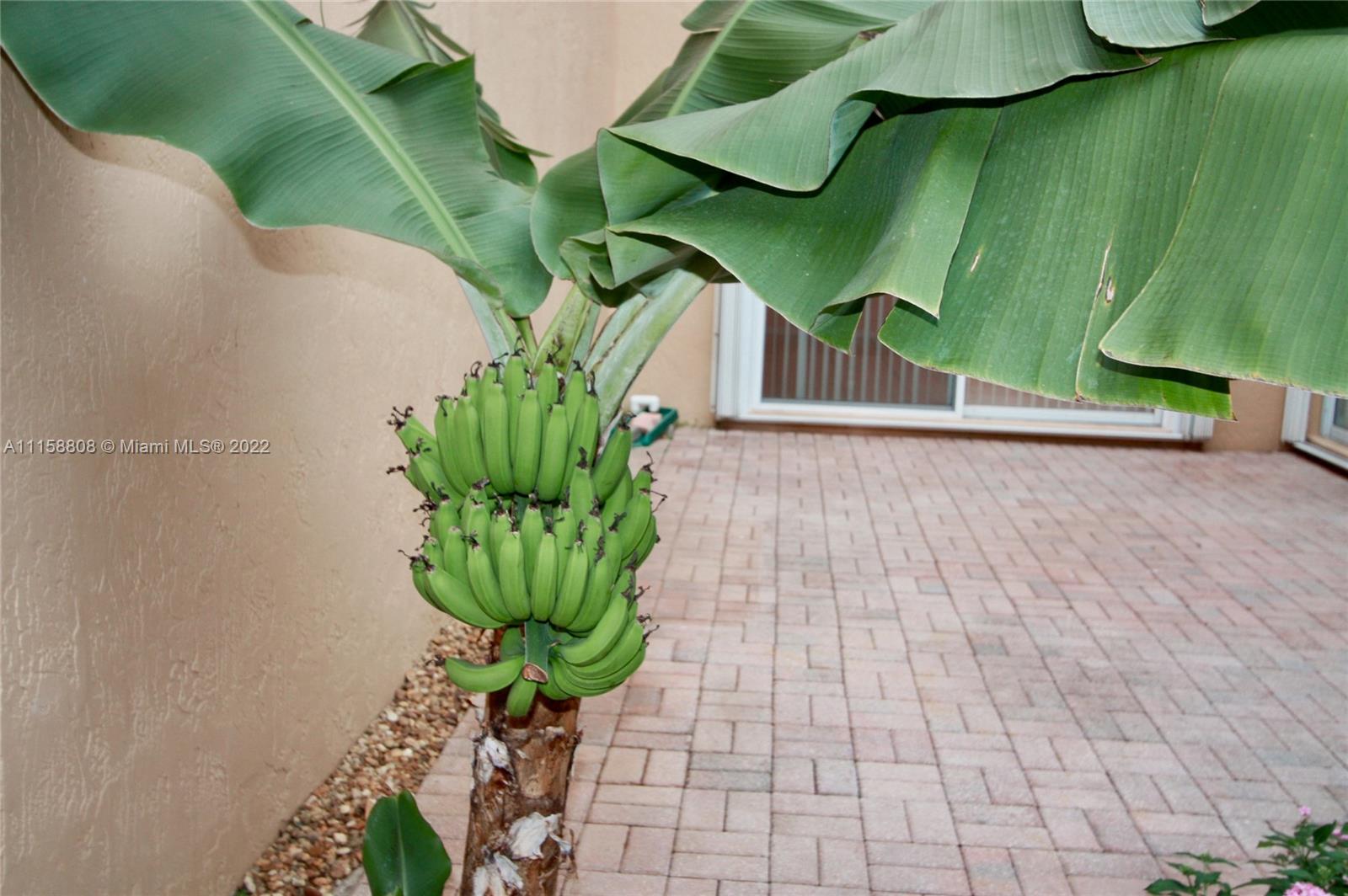 West Lake Village - Residential