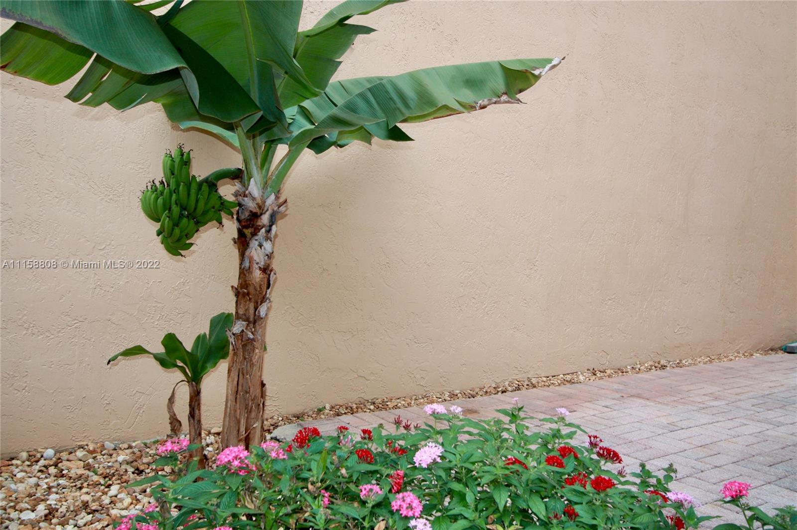 West Lake Village - Residential