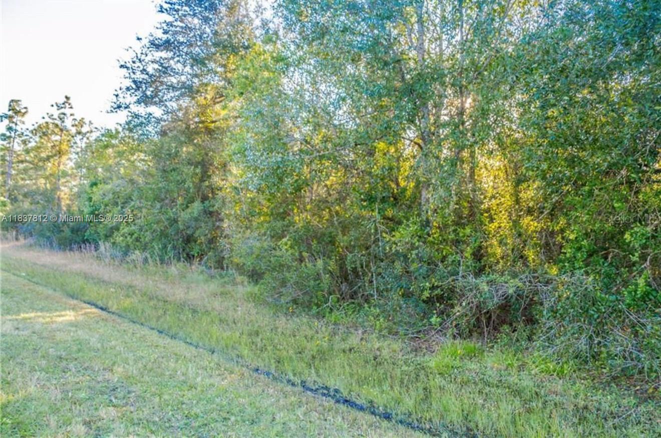 2.48 Acres – Cape Orlando Estates | Dallas Blvd, Orlando, FL
Incredible opportunity with two side-by-side 1.24-acre parcels (totaling 2.48 acres) in Cape Orlando Estates. Build your dream home, invest, or develop in this peaceful, rural setting with no HOA and residential zoning. Enjoy privacy and space while still being minutes from major highways, shopping, and Orlando attractions. Build on one lot or both — ideal for custom homes, outbuildings, or future growth. Located in a fast-growing area with rising land values. Don’t miss this versatile land opportunity!