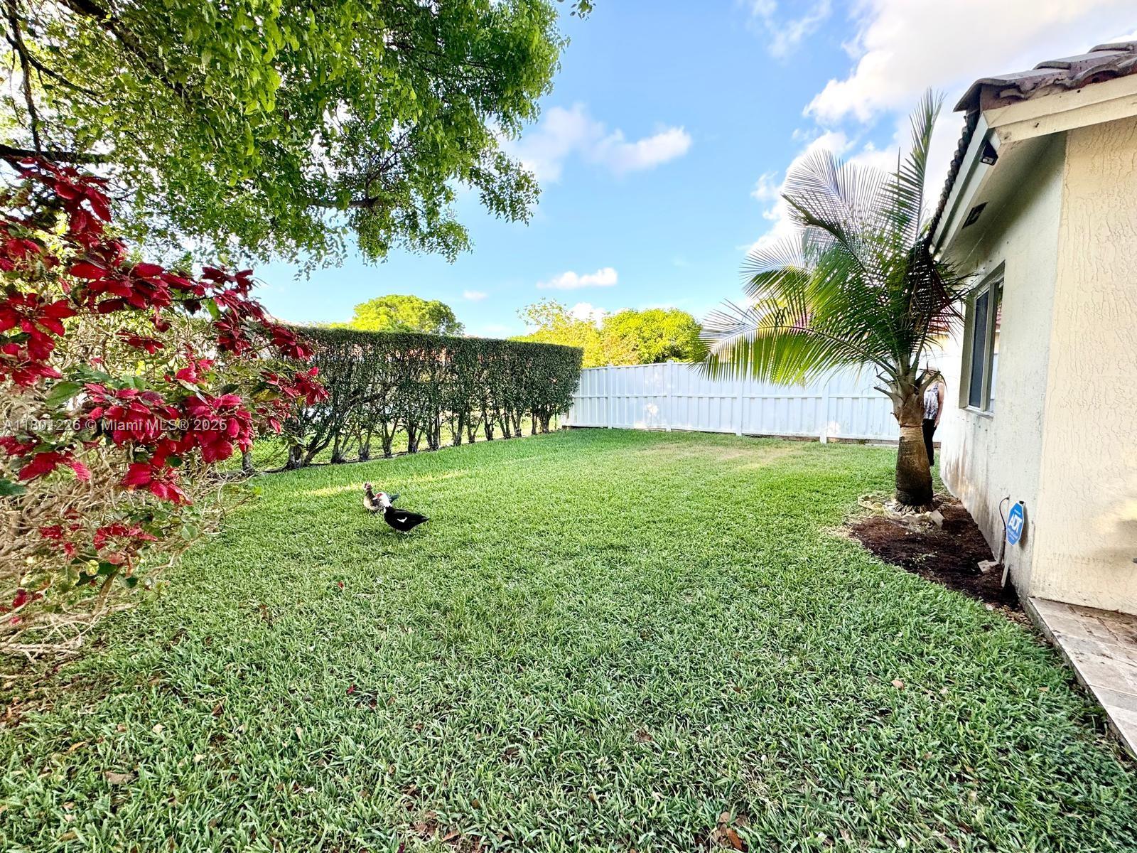 VILLAGES OF RENAISSANCE - Residential