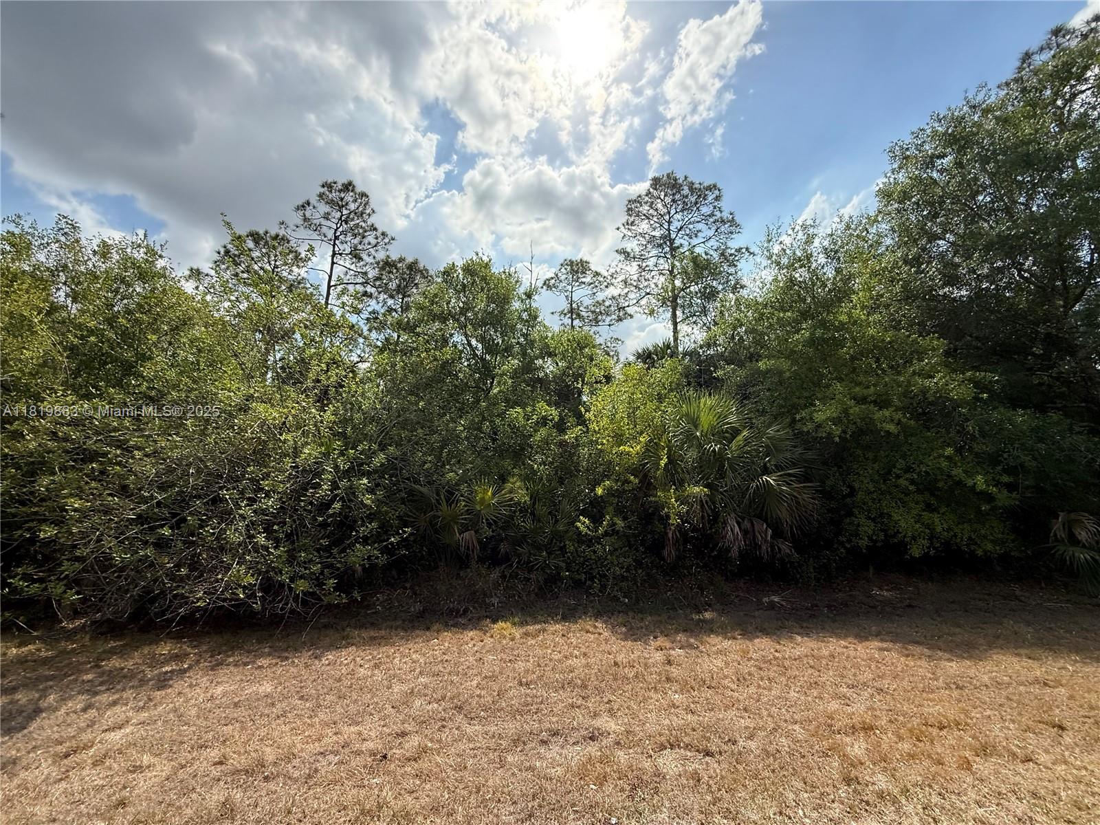 MONTURA RANCH ESTATES - Land