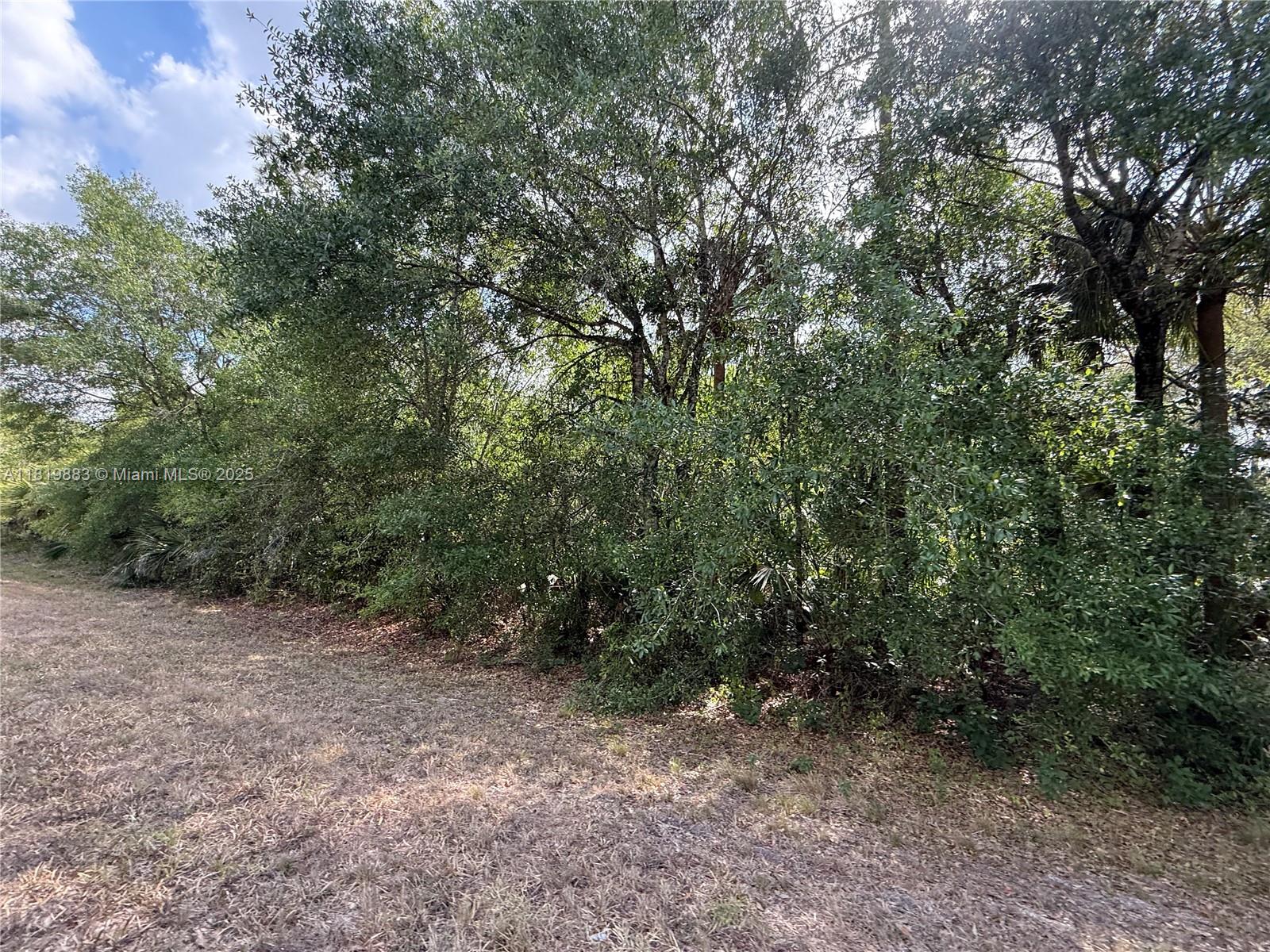MONTURA RANCH ESTATES - Land