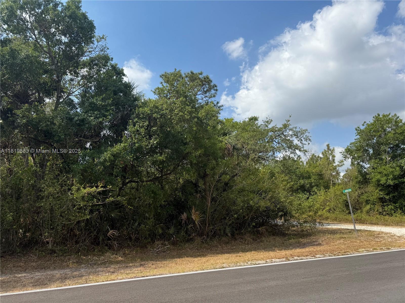 1.25 ACRES CORNER LOT! MAIN PAVED ROAD, GREAT LOCATION HUNTING CLUB & ARBOLEDA ST
YOU CAN DECIDE THE TREES YOU WANT IT!!! PRICE TO SELL FAST!! BEST OPTION IN THE MARKET! NO WETLAND! GREAT INVESTMENT OPPORTUNITY! YOU CAN BUILD YOUR DREAM HOUSE OR INSTALL YOUR MOBILE HOME ENDLESS POSSIBILITIES!!!
YOU CAN HAVE YOUR WEEKEND GETAWAY FROM THE CITY, JUST 65 MILES FROM WESTON, 90 MILES FROM MIAMI, YOU CAN HAVE YOUR FARM ANIMALS AND ENJOY THE CAMP STYLE OF MONTURA RANCH ESTATE YOU CAN GO DIRECTLY TO THE PROPERTY AND CALL ME OR TEXT ME IF YOU NEED ANY EXTRA INFORMATION