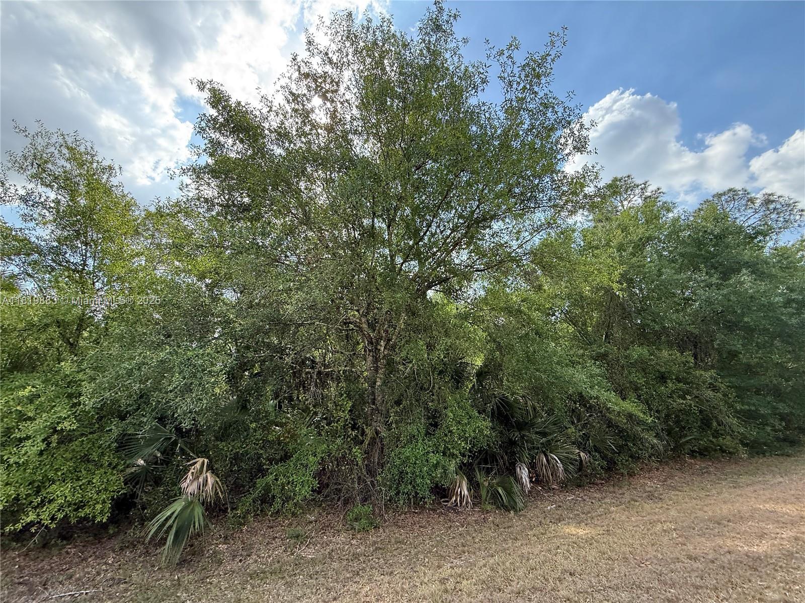 MONTURA RANCH ESTATES - Land