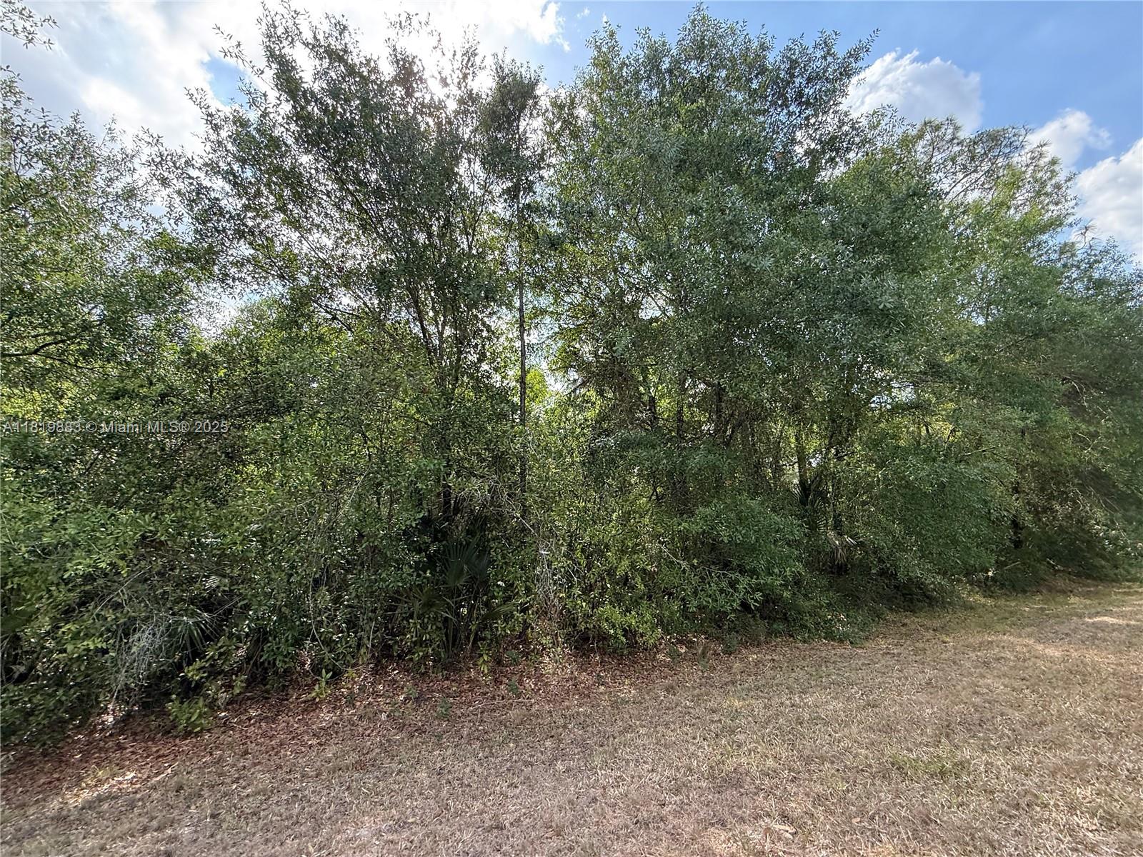 MONTURA RANCH ESTATES - Land