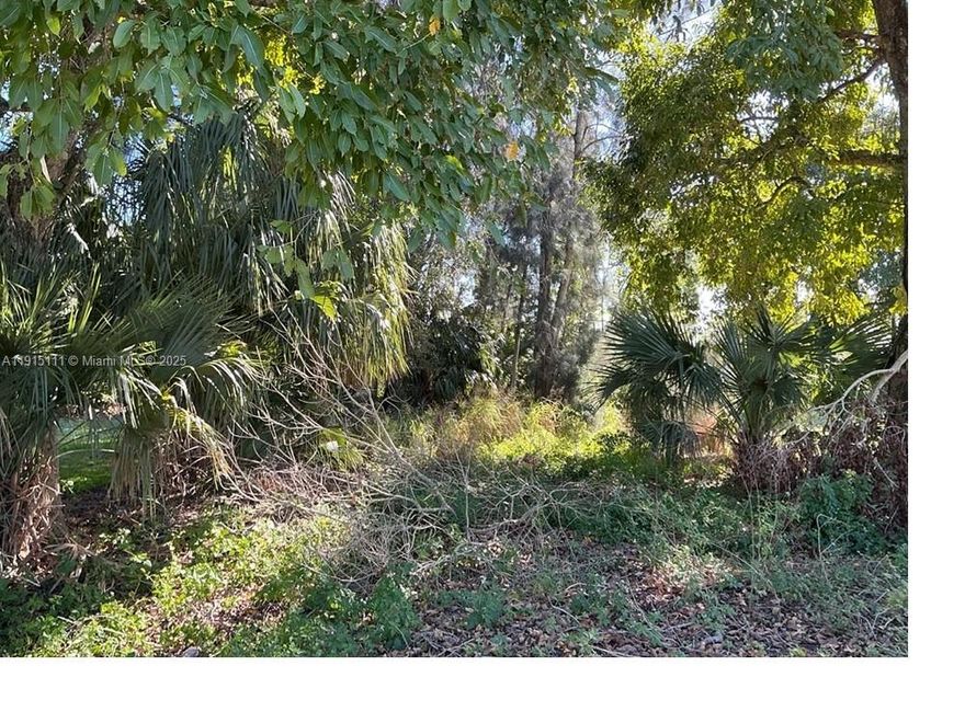 Great opportunity to own a residential vacant lot in a peaceful area with excellent access to nearby cities. Located minutes from Clewiston, known as “America’s Sweetest Town,” offering small-town charm, outdoor recreation, and rural living. The property is about 1 hour from Palm Beach County and Lehigh Acres, 5 minutes from the U.S. Sugar Mill, and 6 minutes from the Clewiston Golf Course. Close to Lake Okeechobee for fishing and boating. Ideal for building a future home or as a long-term investment.