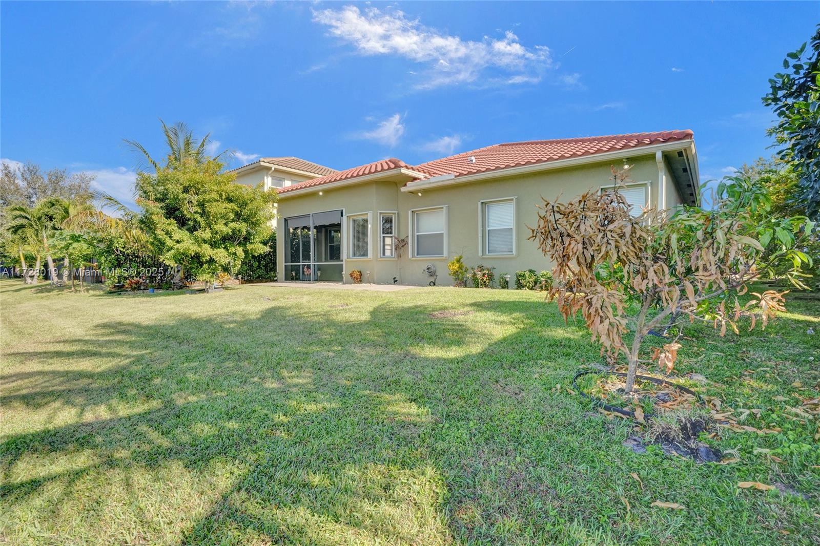 TERRACINA JOHNSON PROPERT - Residential