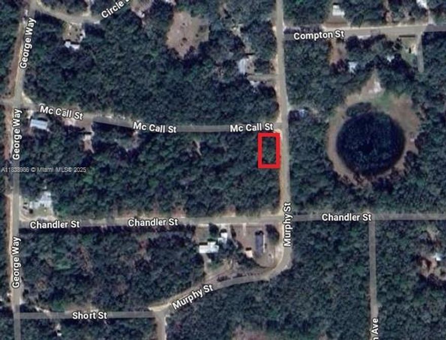 0.31 ACRES VACANT LAND IN INTERLACHEN, FL. CORNER LOT. ALL INFORMATION FROM THE SELLER AND MUST BE VERIFIED BY THE BUYER!