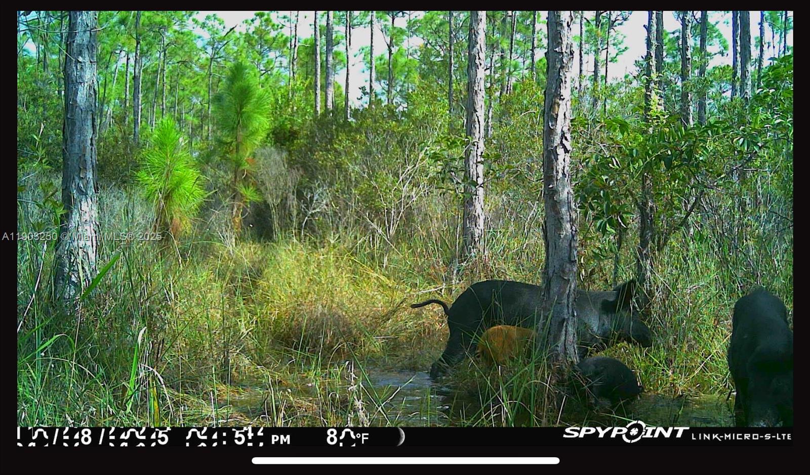 PALM BEACH HEIGHTS - Land