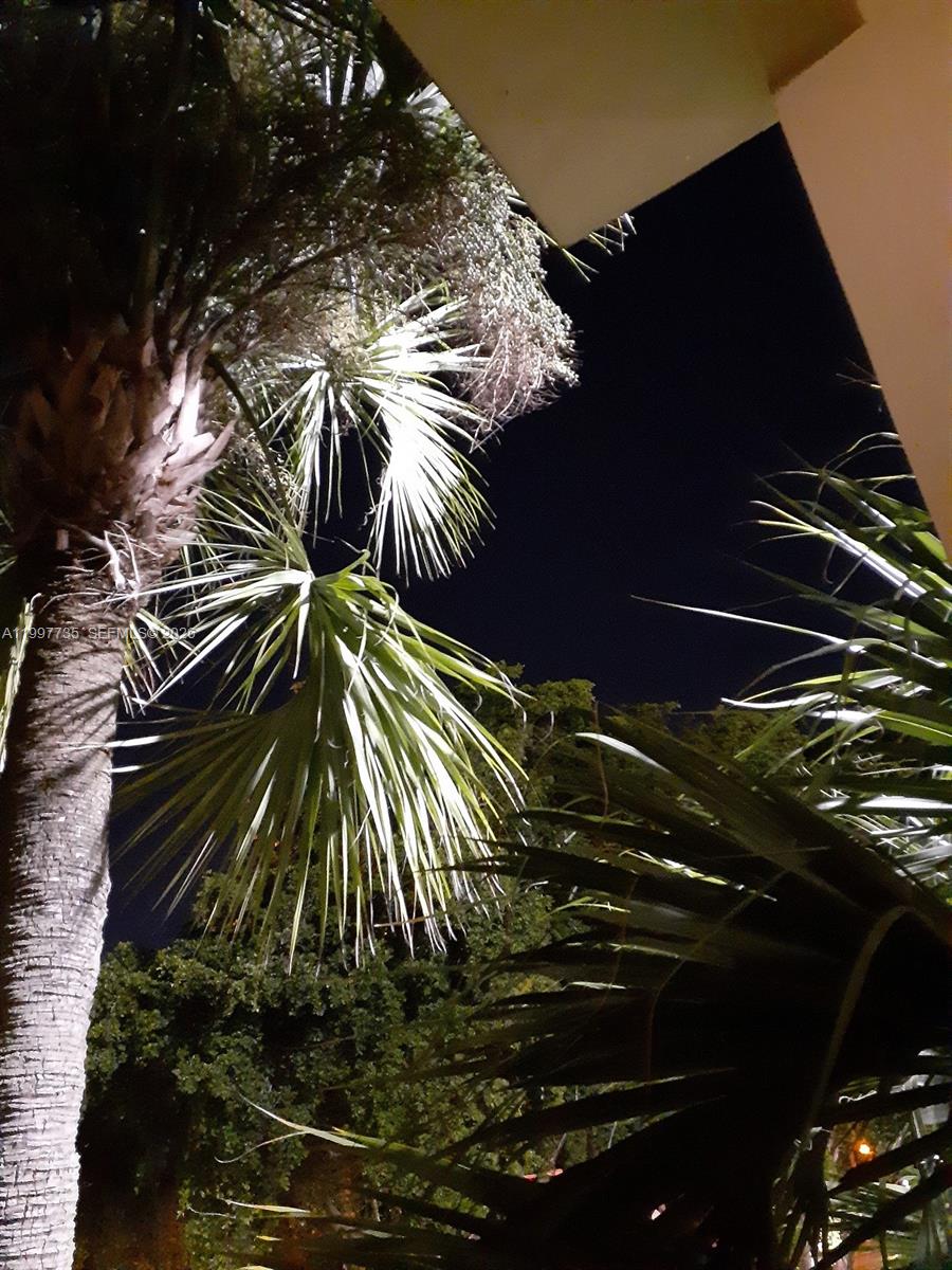 KENDALL ACRES WEST CONDO - Residential Lease