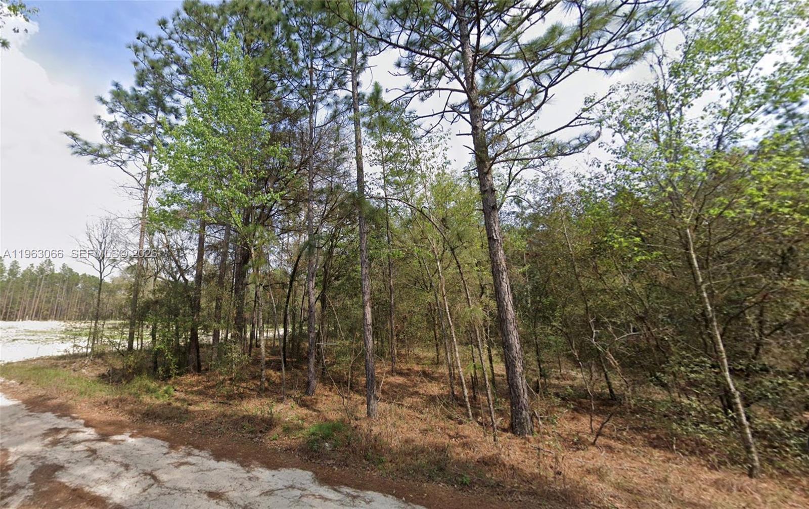 LAKE TROPICANA RANCHETTES - Land