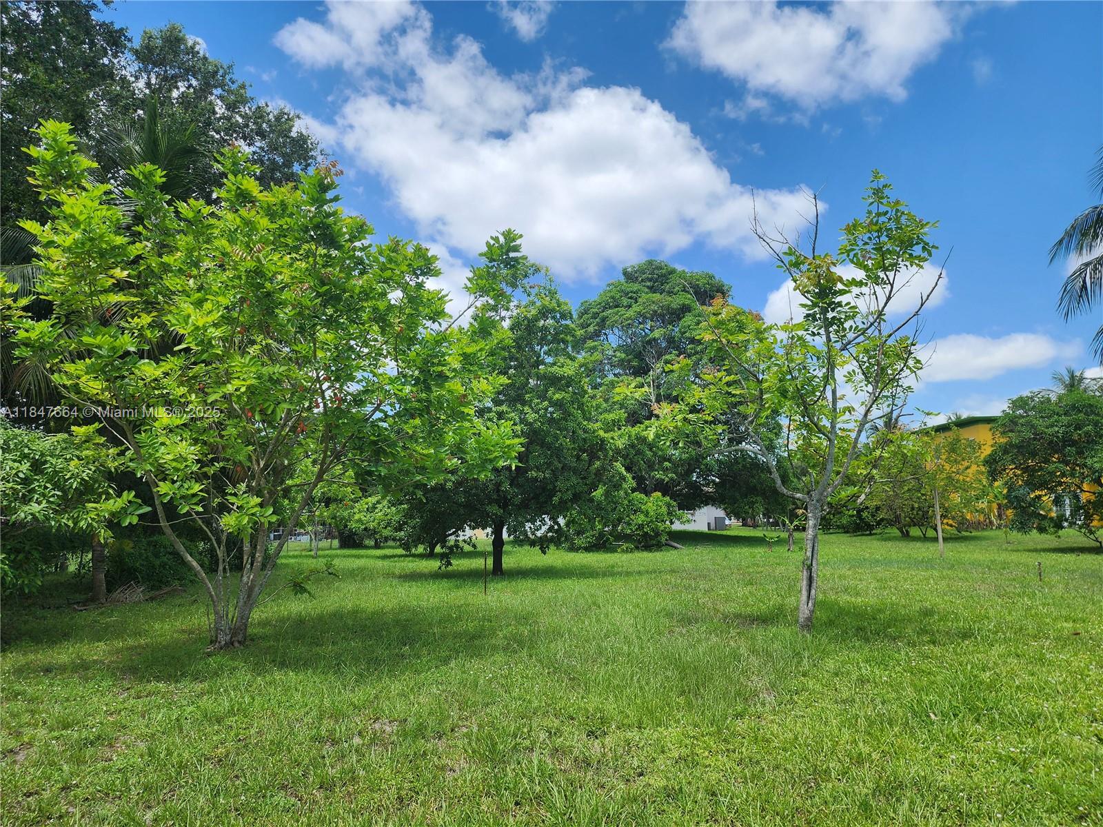 PLANTATION - Residential