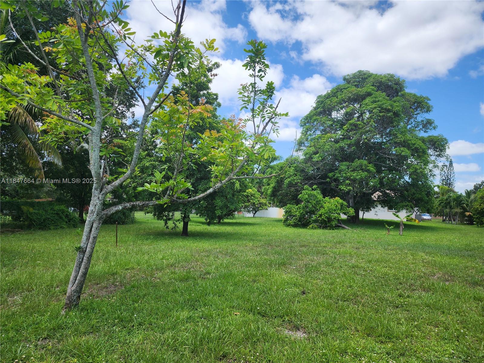 PLANTATION - Residential
