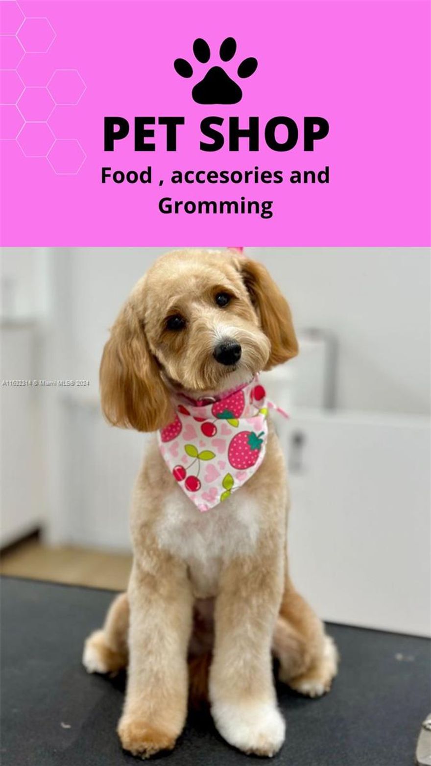 PET SHOP, FOOD, ACCESORIES AND GROOMING, GROWING PET PRODUCT SALES AND SERVICES BUSINESS. APPLIES FOR E2 INVESTOR VISA.