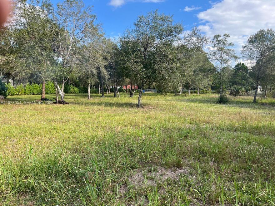 Build your dream home on this 1.07-acre vacant lot in Montura Ranches, Florida. This high and dry property is ready for development with a culvert already installed for easy access and a well in place, saving you time and money. Located in a desirable rural residential area known for new construction homes, acreage properties, and country living, this lot offers plenty of space for a custom home, mobile home, or off-grid lifestyle. Montura Ranches allows animals and provides the privacy and open space buyers are searching for while still within driving distance to LaBelle, Clewiston, and South Florida. Whether you are looking for land to build now or invest for the future, this ready-to-build parcel with existing improvements is a rare opportunity in Montura Ranches.