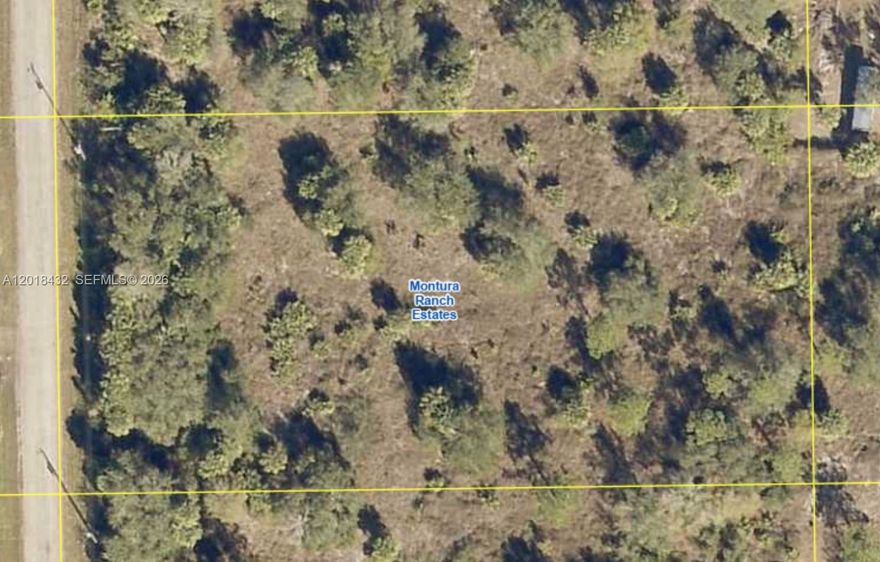 1.25-acre lot in a rapidly growing neighborhood of Clewiston. This spacious parcel is ideal for building your dream home or as a long-term investment. The area is seeing increasing development, offering excellent potential for future appreciation. Offered at $55,000 — don’t miss this opportunity to secure land in a rising market.
