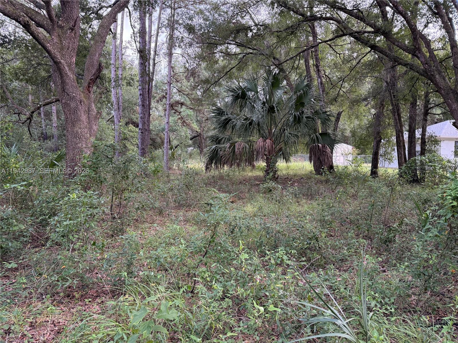 DUNNELLON HEIGHTS - Land