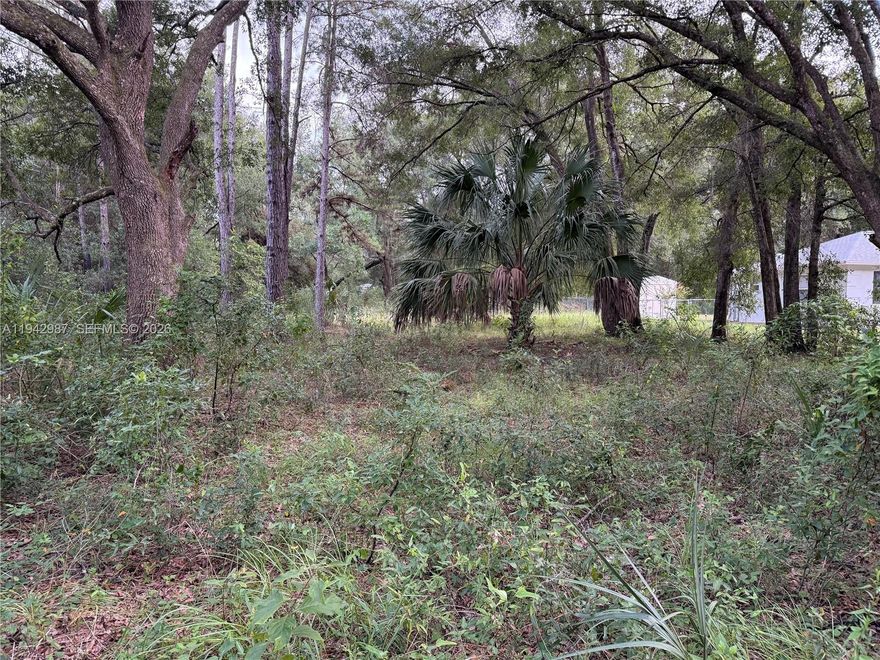 GREAT PROPERTY FOR INVESTMENT IN MARION COUNTY. THE ADJOINING LOT IS AVAILABLE FOR PURCHASE AS WELL. THE TWO LOTS TOGETHER MAKE A HALF ACRE. BUY AND HOLD TO SELL LATER OR BUILD YOUR DREAM HOME. ALL OFFERS MUST INCLUDE RECENT PRE-APPROVVAL FOR FINANCE AND POF FOR CASH BUYERS.