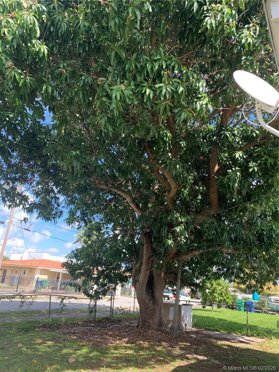 RAINBOW PARK - Residential