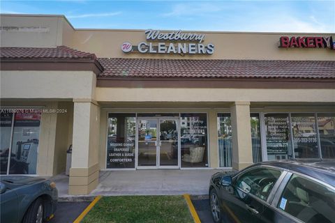 9848 sw 137 ave Miami FL 33186