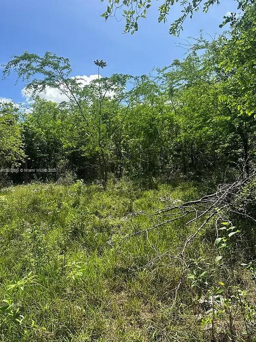 00 RIO NEUVO, ST MARY JAMAICA