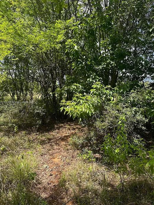 RIO NEUVO, ST MARY JAMAICA - Land