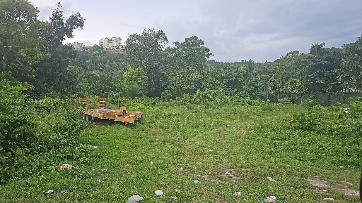 RIO NEUVO, ST MARY JAMAICA - Land