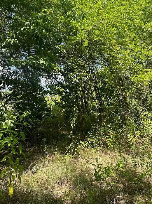 RIO NEUVO, ST MARY JAMAICA - Land