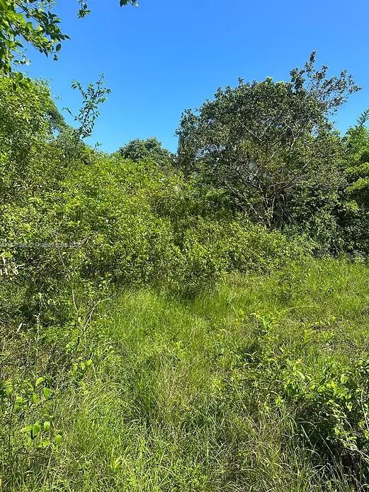 RIO NEUVO, ST MARY JAMAICA - Land