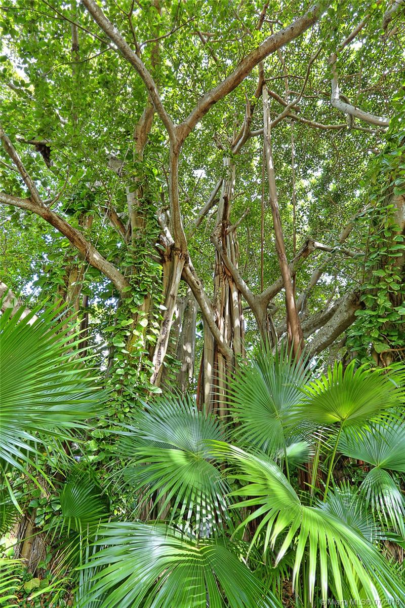 Rockdale Estates - Residential