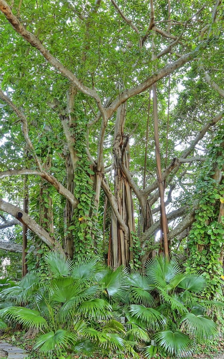 Rockdale Estates - Residential