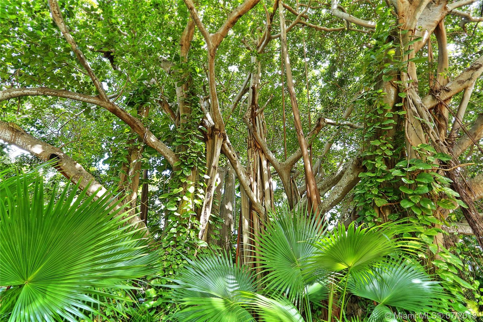 Rockdale Estates - Residential