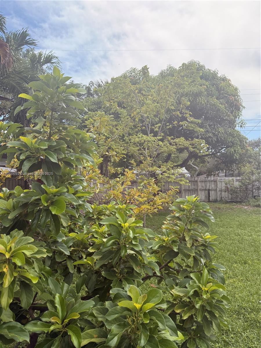 SUNKIST GROVE - Residential