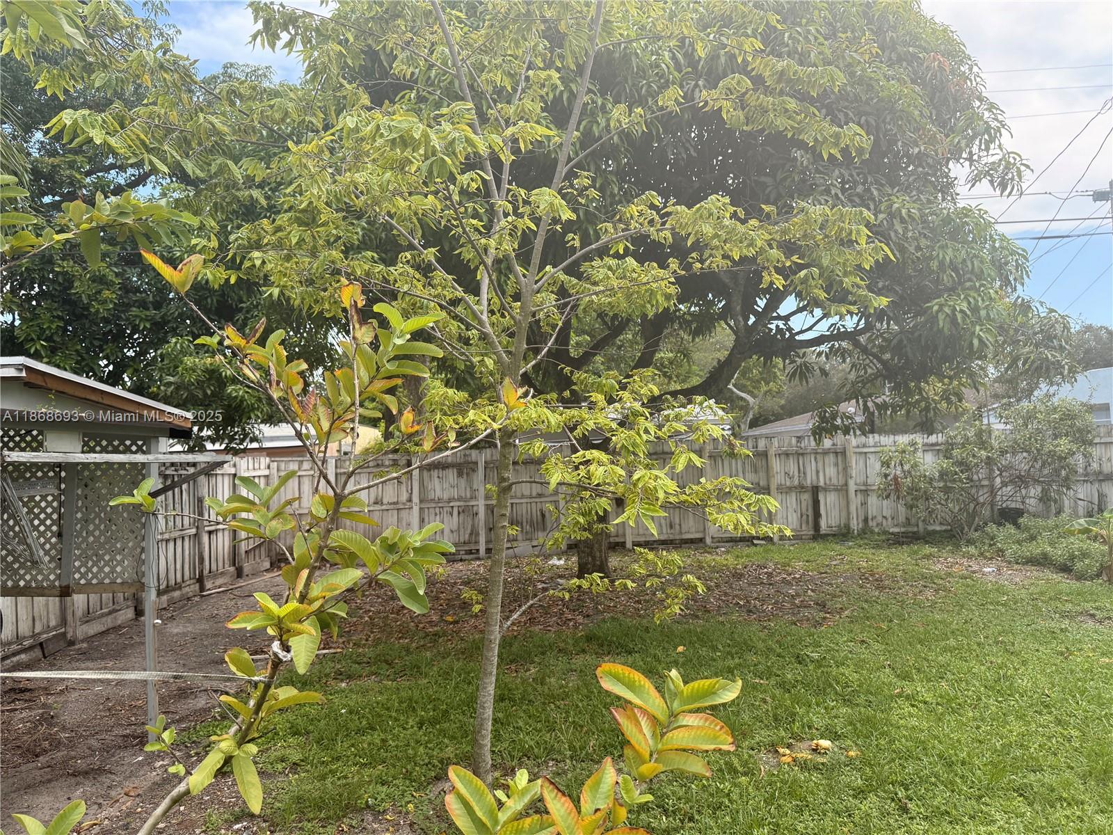 SUNKIST GROVE - Residential