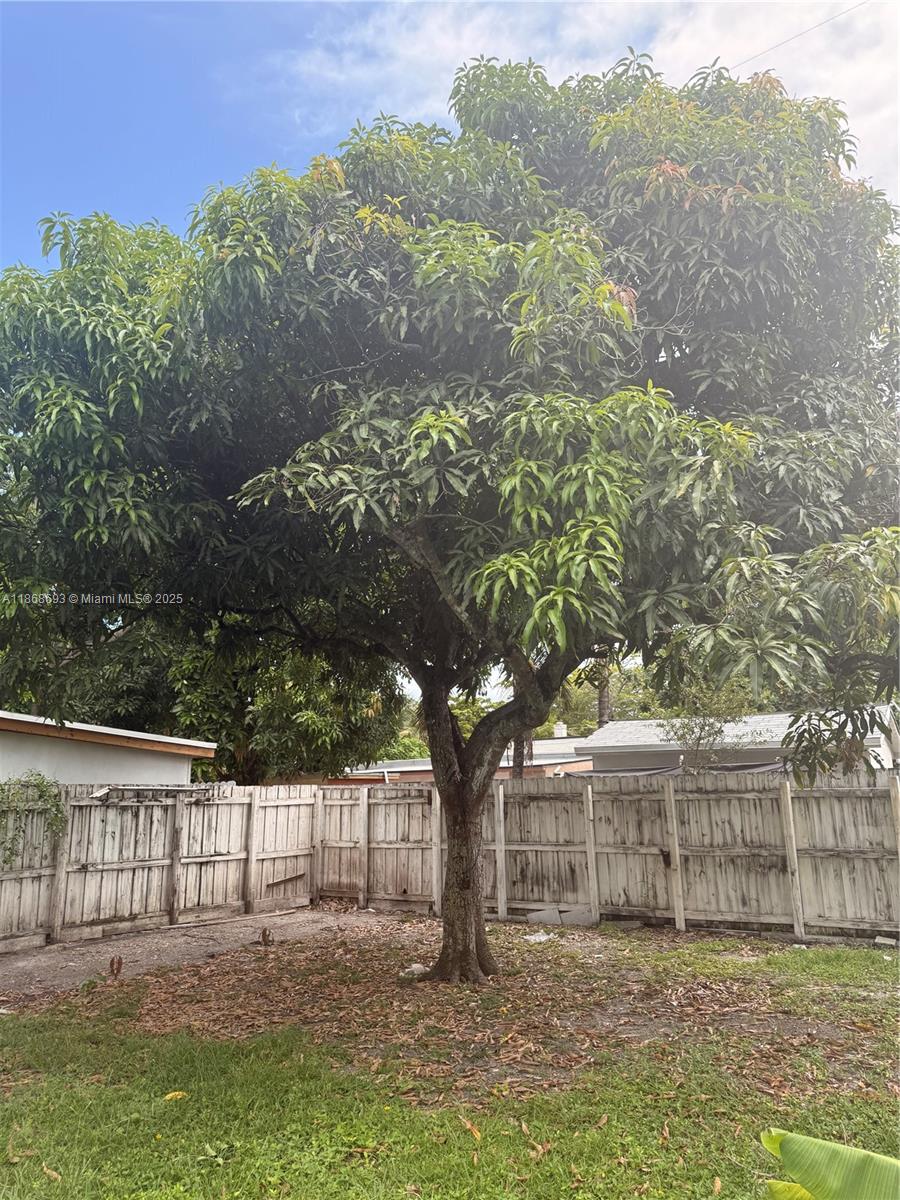 SUNKIST GROVE - Residential