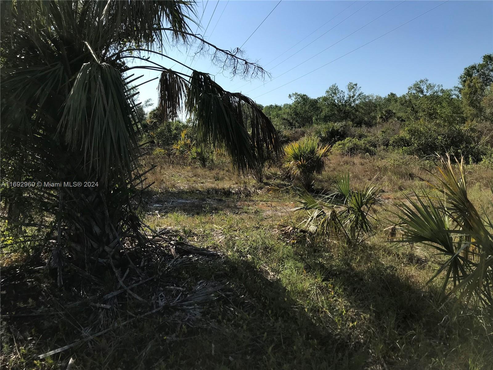TROPICAL GULF ACRESS - Land
