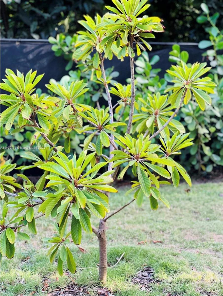 HALLMARK HGHTS ESTATES 1S - Residential