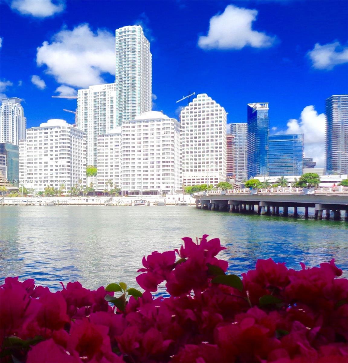 Beautiful updated studio Apt. in the heart of the Brickell Financial Aria. Great location .Rent includes utilities: electricity, a/c and water services. Amenities are amazing: two Olympic pool, GYM, restaurant, retail store, café, marine, etc. Walking distance to Brickell Night-life.