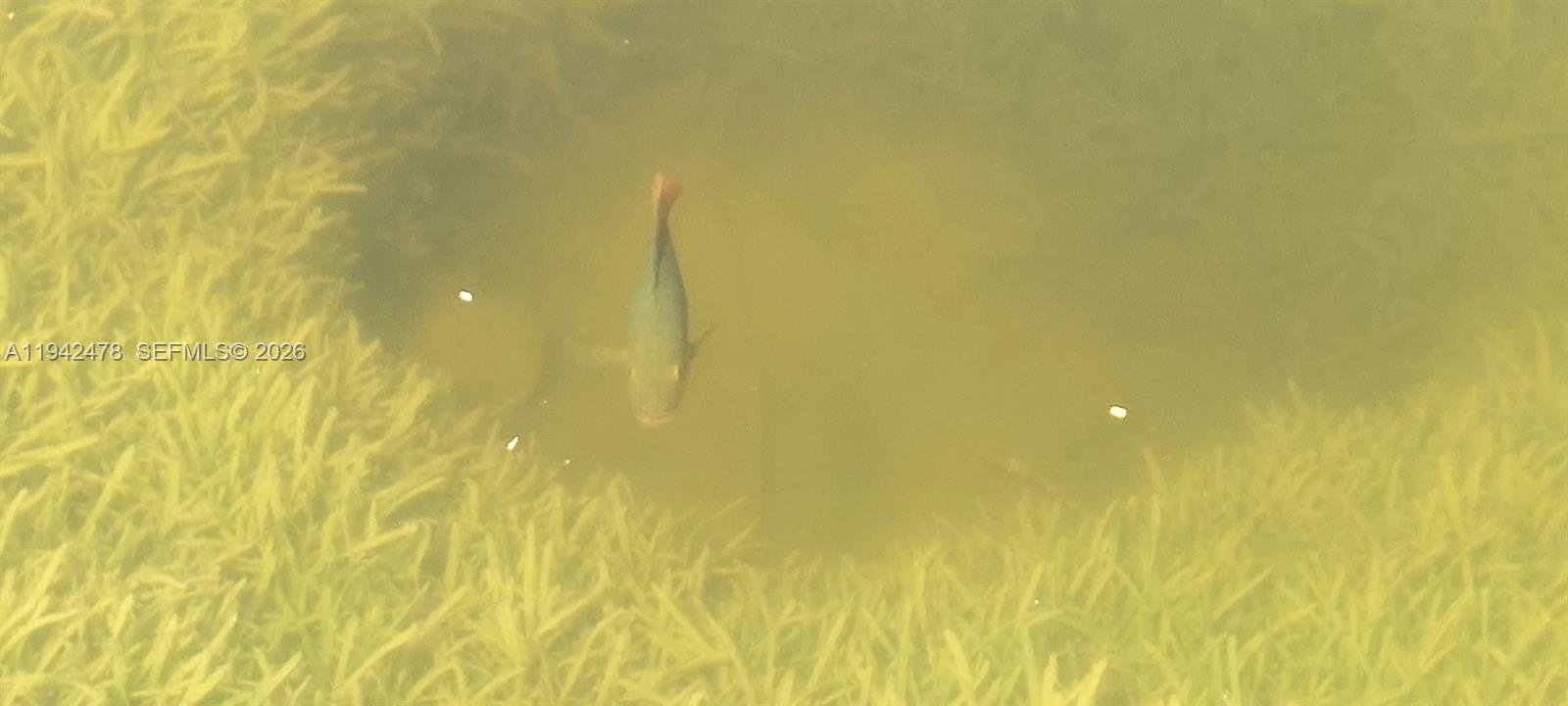 ROYALE GREEN TOWNHOUSE SE - Residential Lease