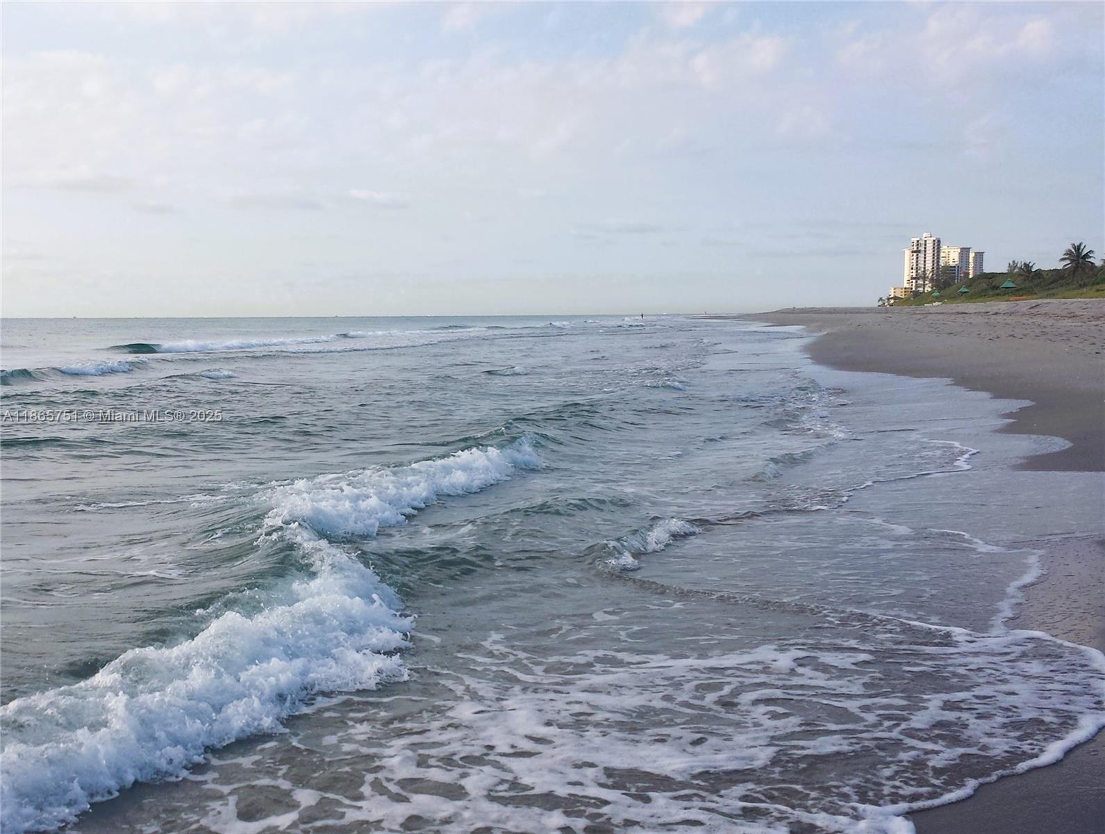 BOCA RATON RIVIERA UNIT D - Residential Lease