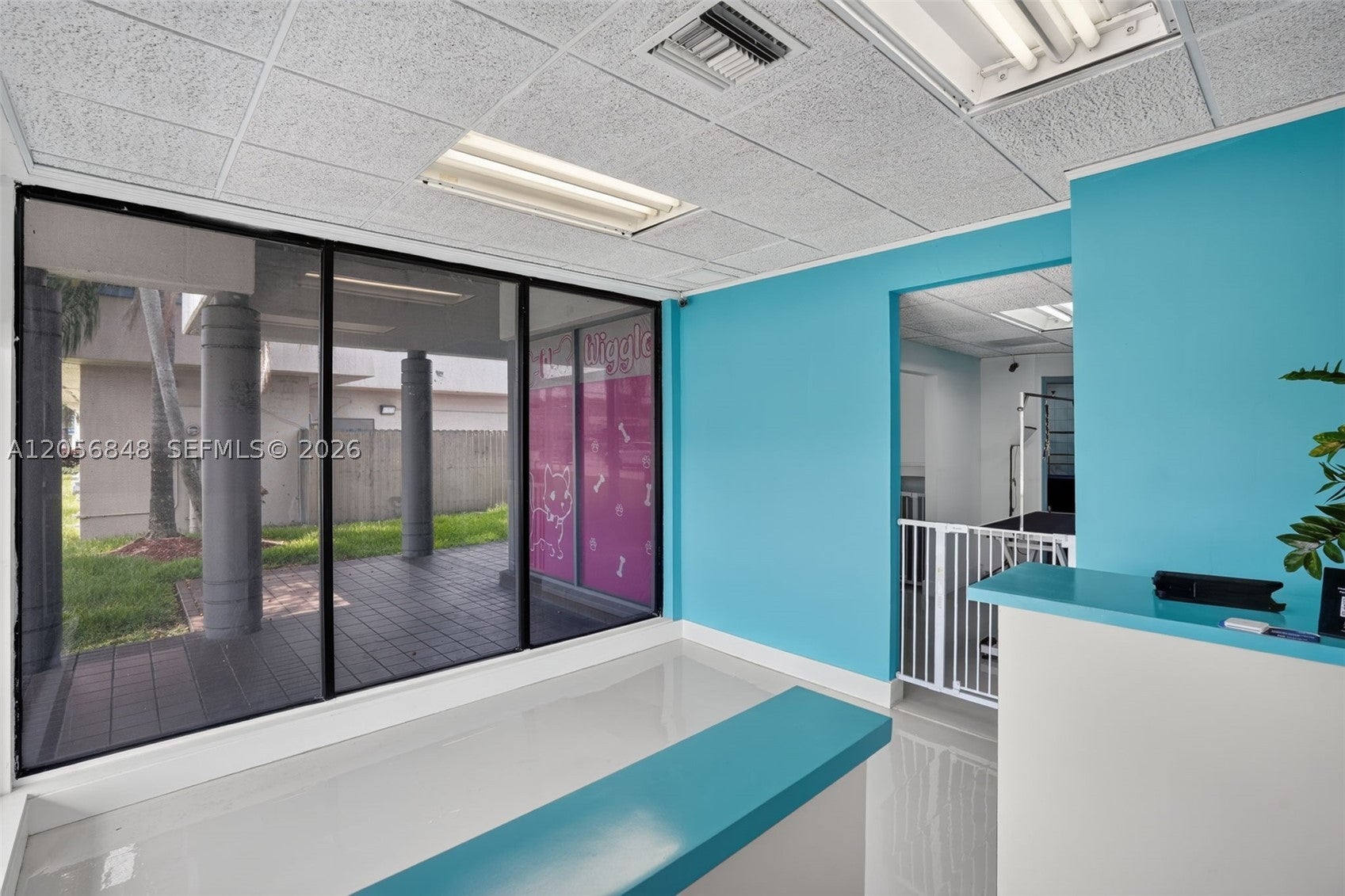 Dog Grooming Shop for Sale in Miami