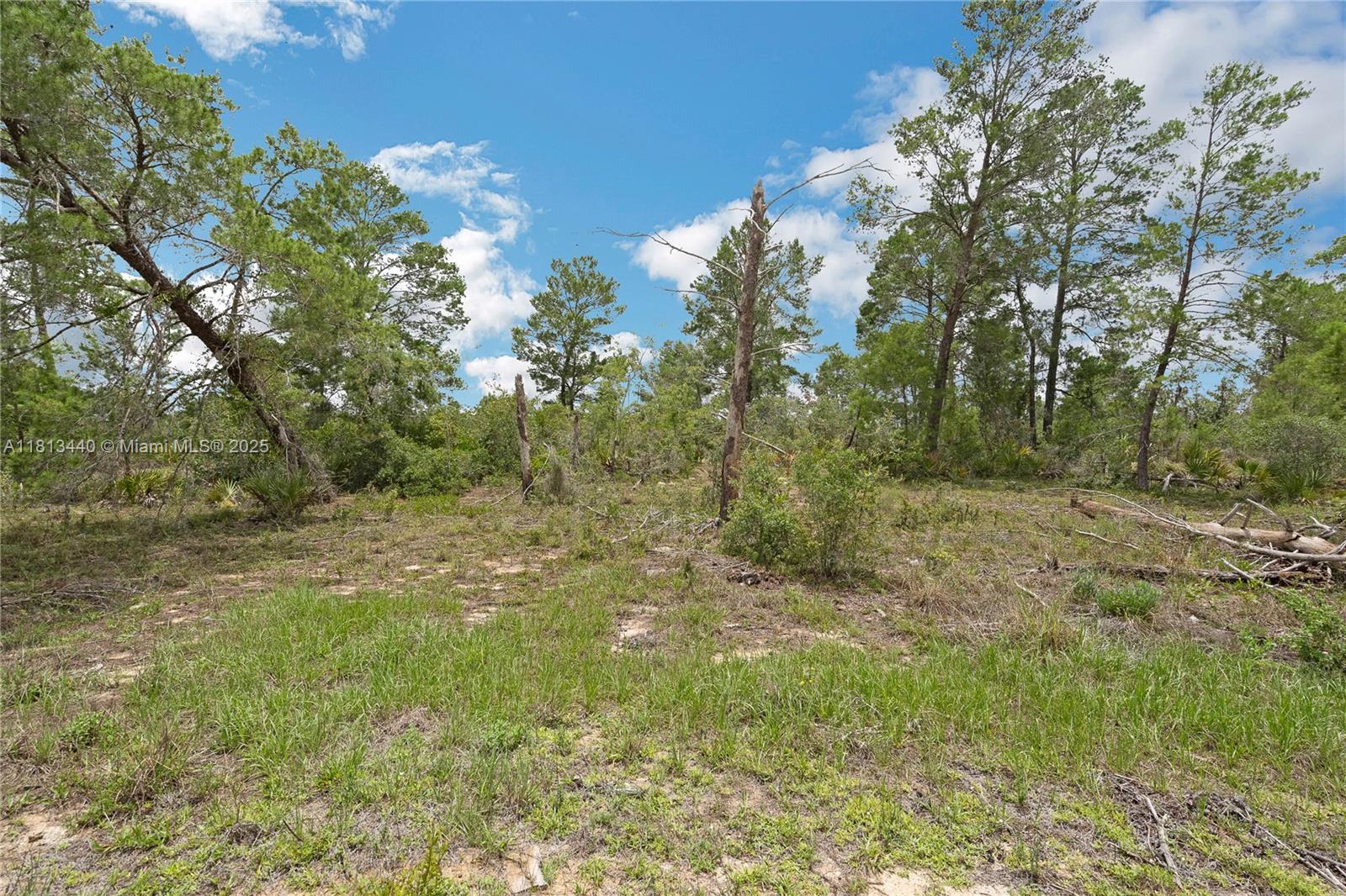 AVON PARK LAKES - Land
