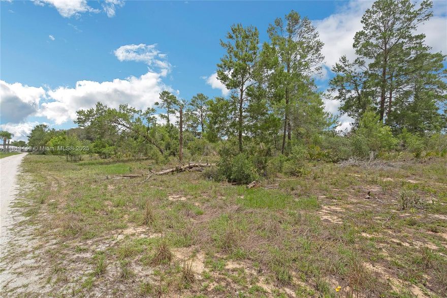 Buy the land and build your own home! This is a vacant lot 80' x 100' located in Avon Park, Highlands County, FL, two hours South of Orlando. 1:35 minutes from Tampa, 3:15 minutes from Miami. This lot is between W Xavier Rd. and W Lundelius Rd. a residential area perfect to create your own home design!