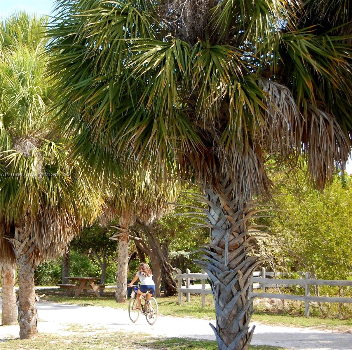 KEY BISCAYNE VI CONDO - Residential Lease