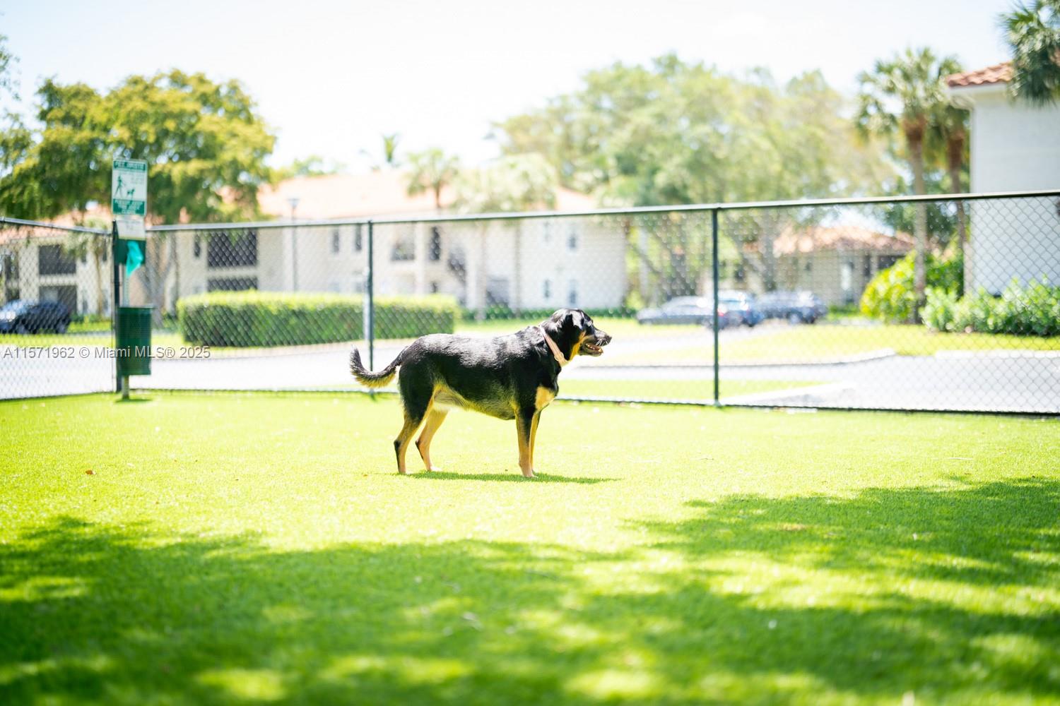 Mizner Court - Residential Lease