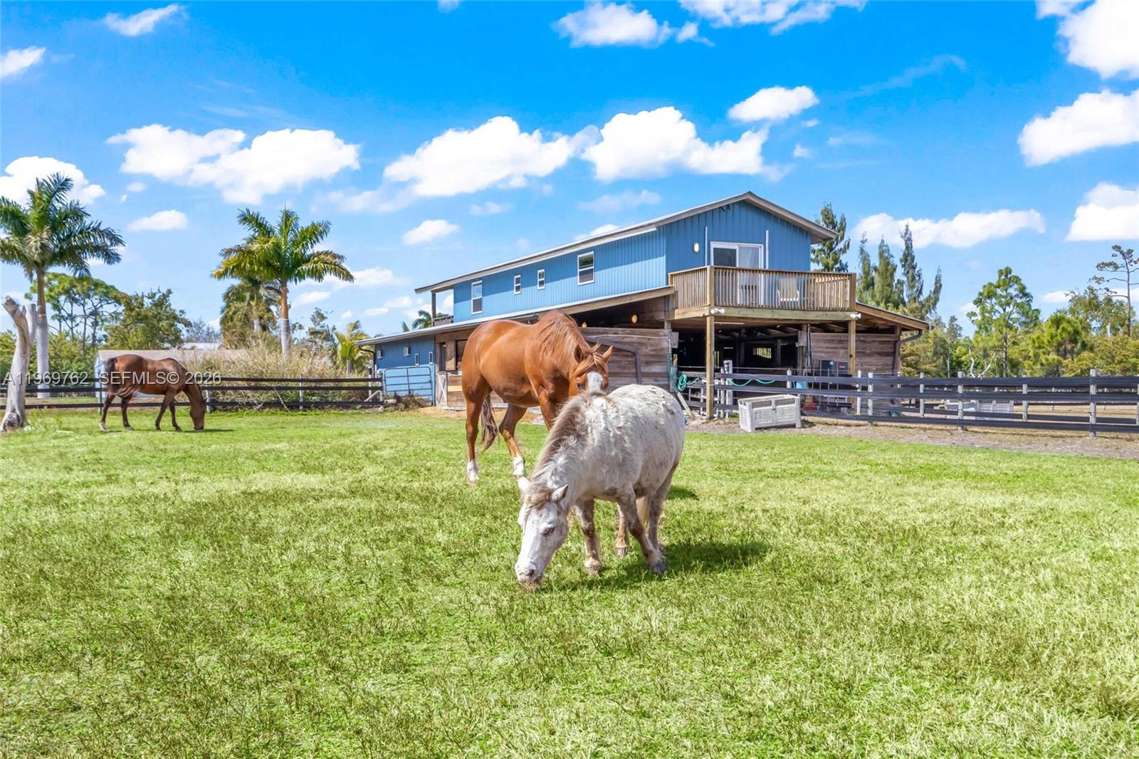 Pine Island - Residential