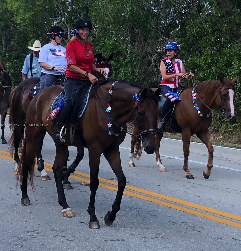 Pine Island - Residential