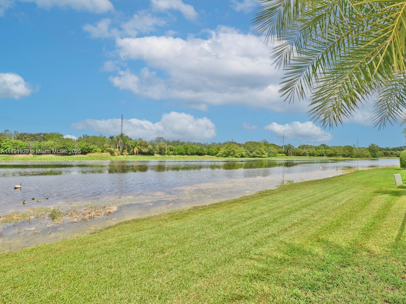 WESTON HILLS - Residential