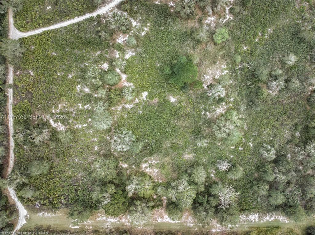 HOLIDAY LAKE ESTATE - Land