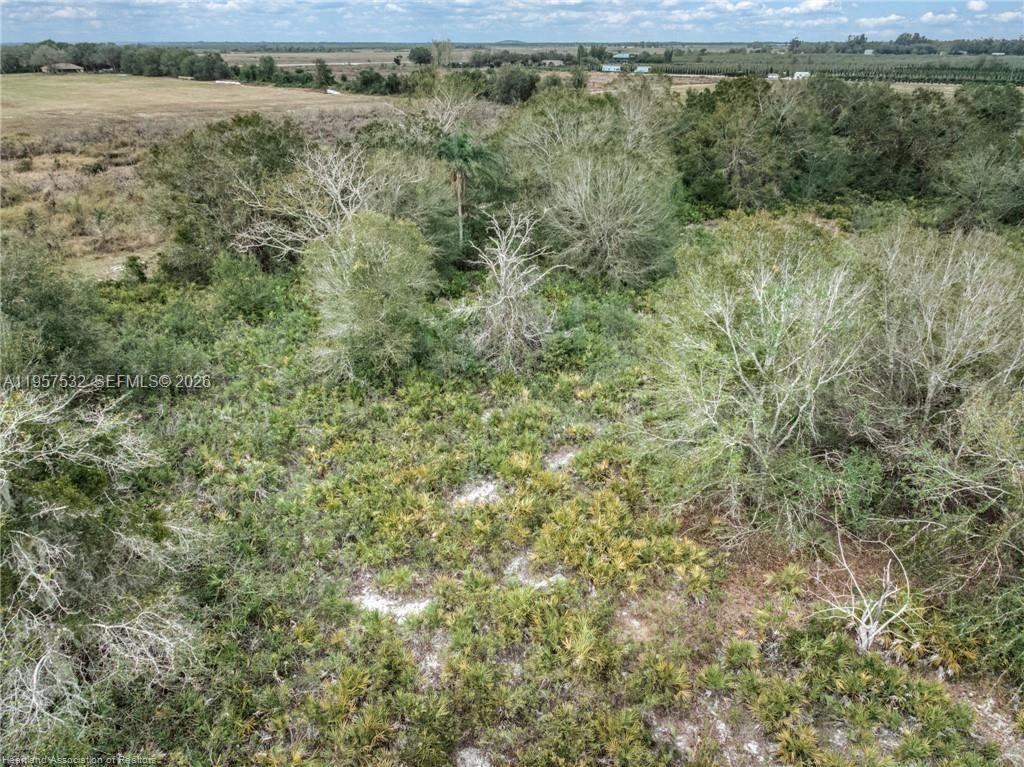 HOLIDAY LAKE ESTATE - Land